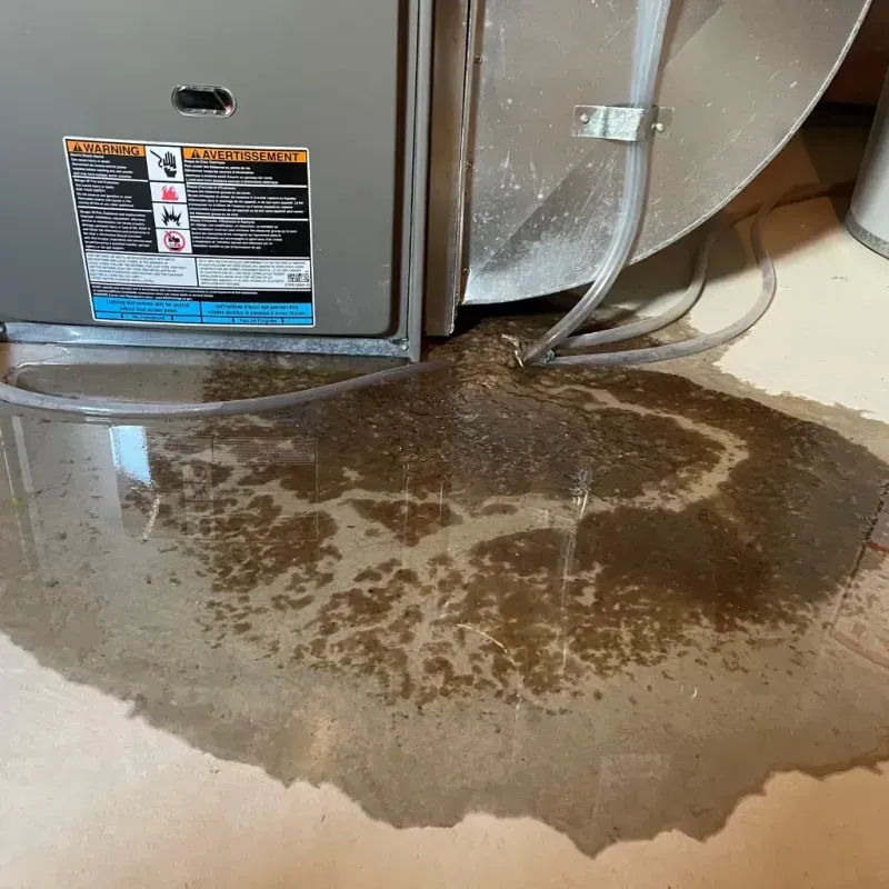 Appliance Leak Cleanup in Providence, KY